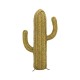 Cactus esparto pequeño - Imagen 1