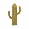 Cactus esparto pequeño
