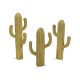 Cactus esparto mediano - Imagen 4