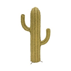 Cactus esparto mediano