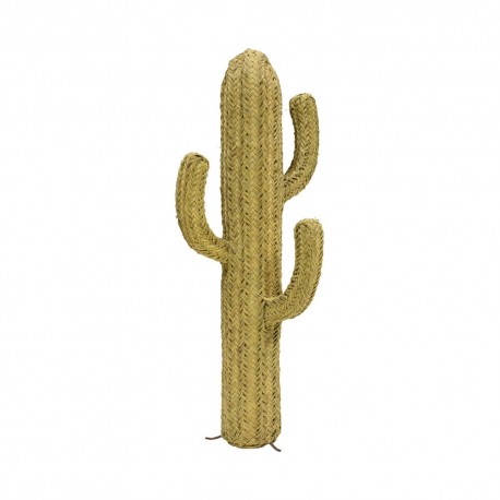Cactus esparto grande